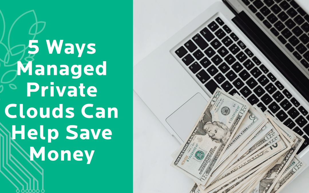 5 Ways Managed Private Clouds Can Help Save Money