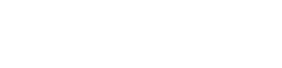 Smartbase Solutions Logo White