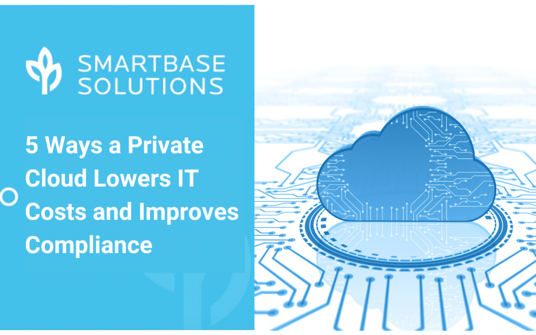 5 Ways a Private Cloud Lowers IT Costs and Improves Compliance